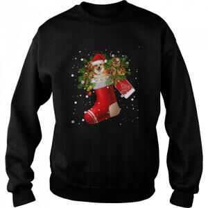 Santa Welsh Corgi In Christmas Sock Pajama Sweatshirt